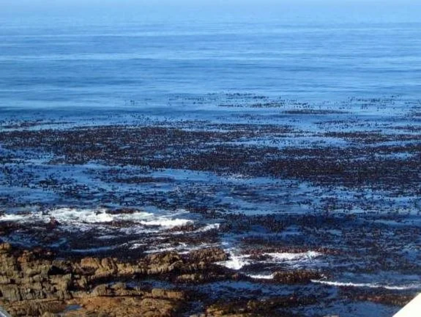 Beaumonte Guesthouse