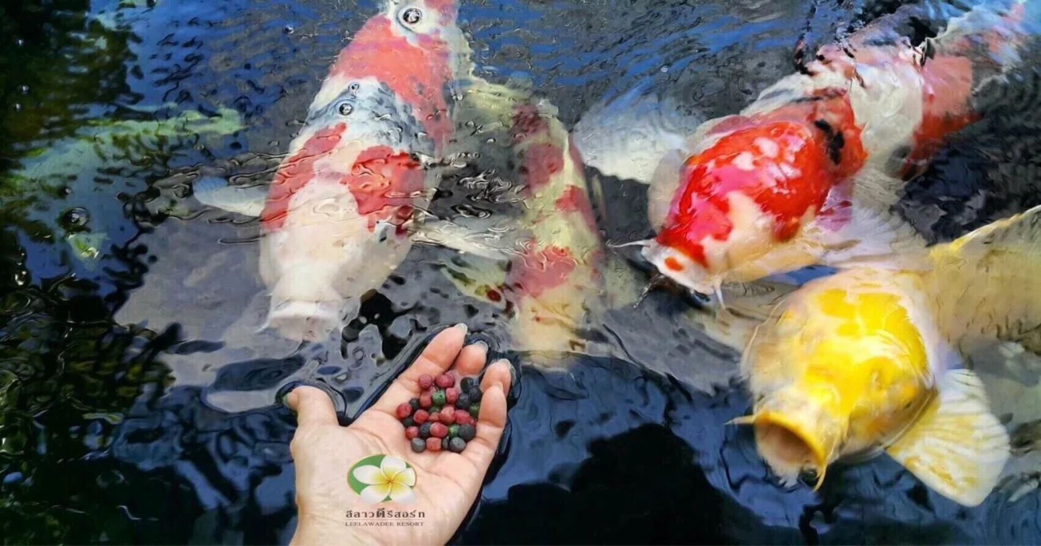 Baansuan Leelawadee Resort Nan