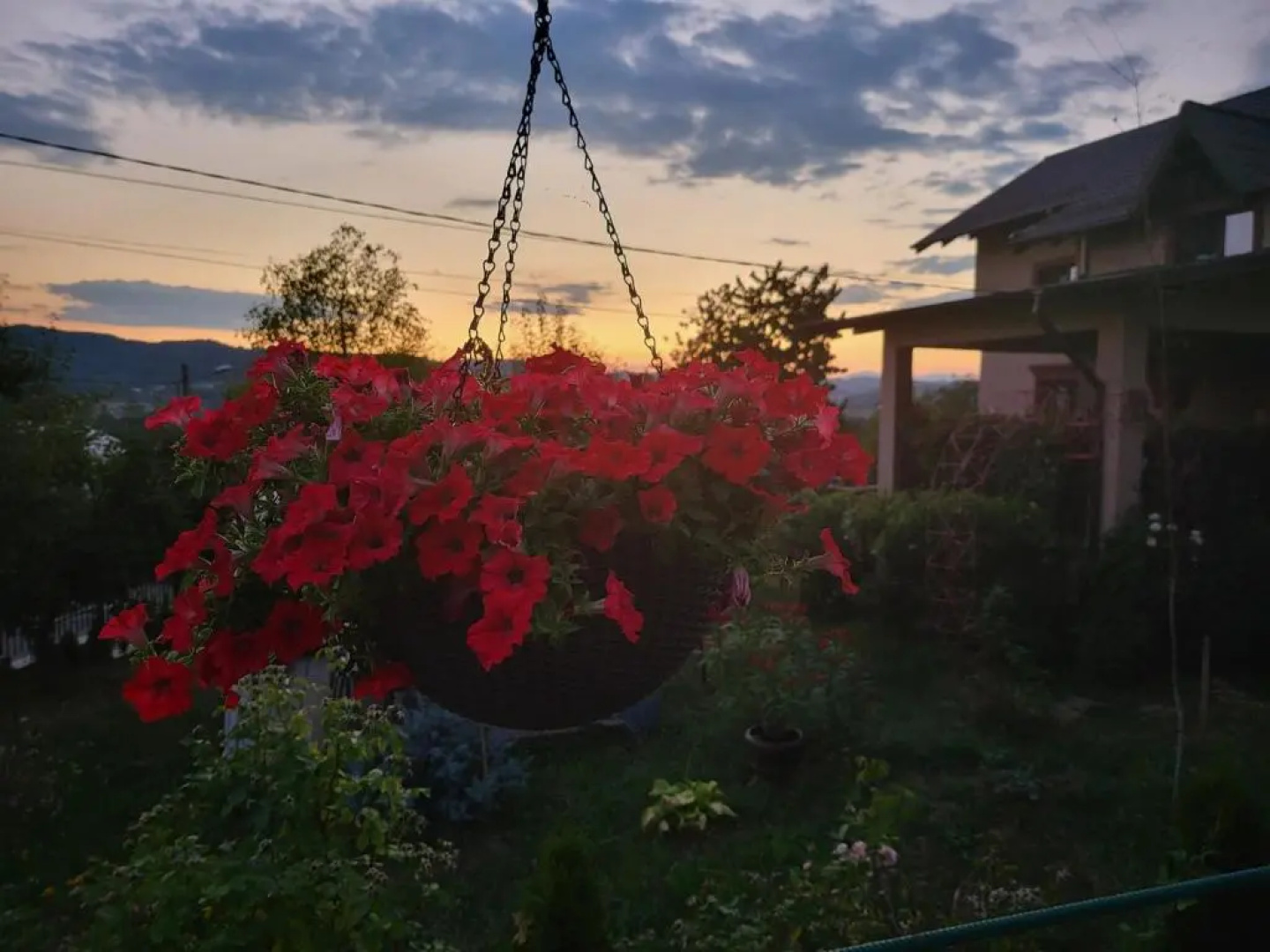 Vila Magnolia