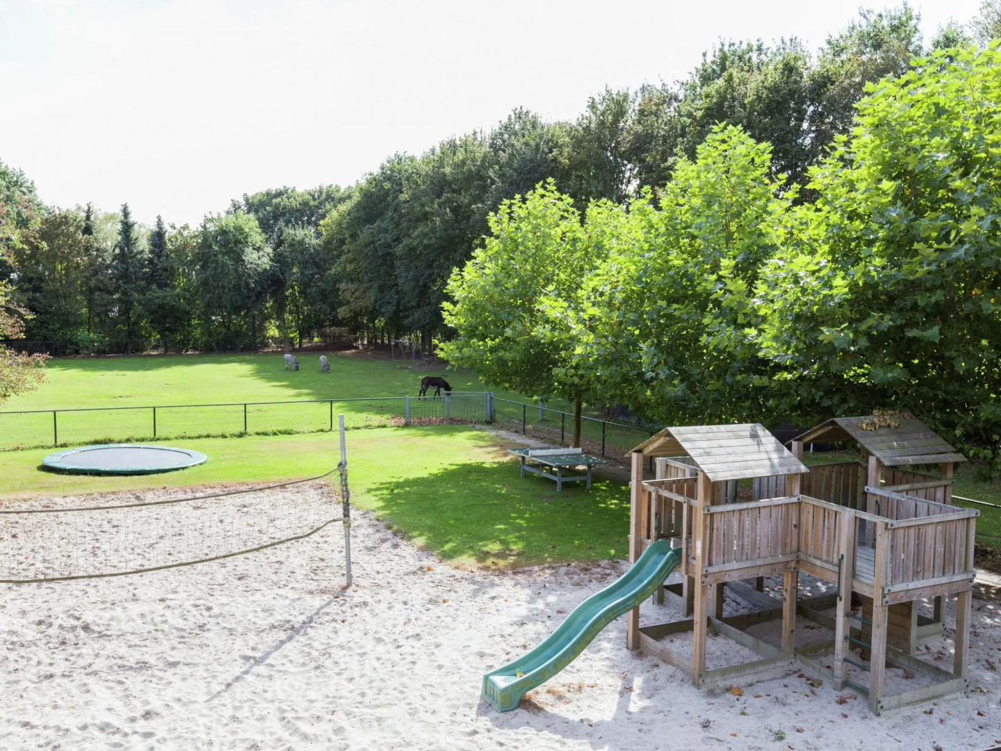 Spacious Holiday Home in Bergeijk With Garden