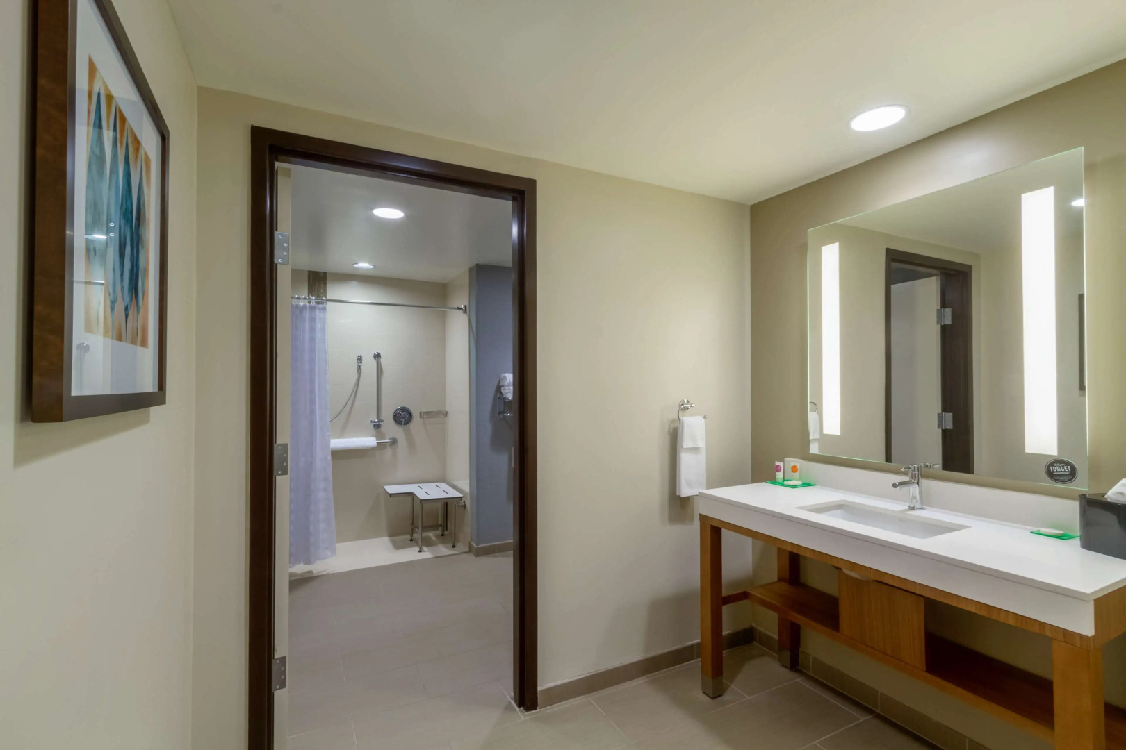 Hyatt Place Blacksburg / University
