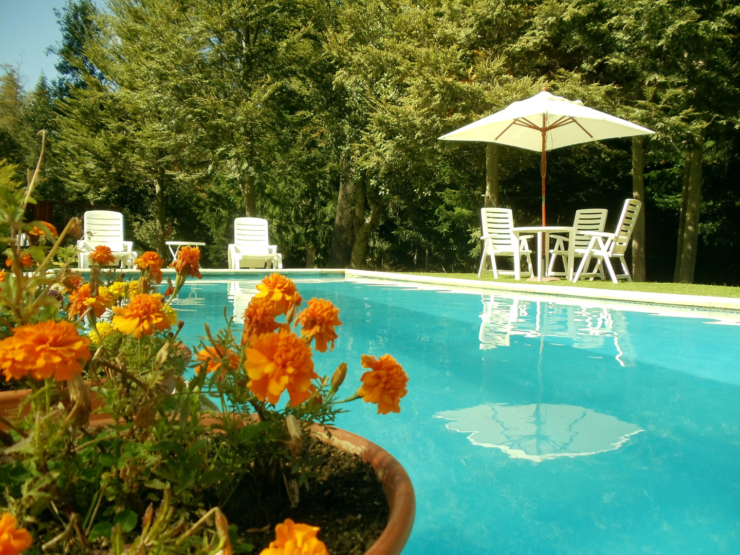 Altos Los Pioneros & Spa