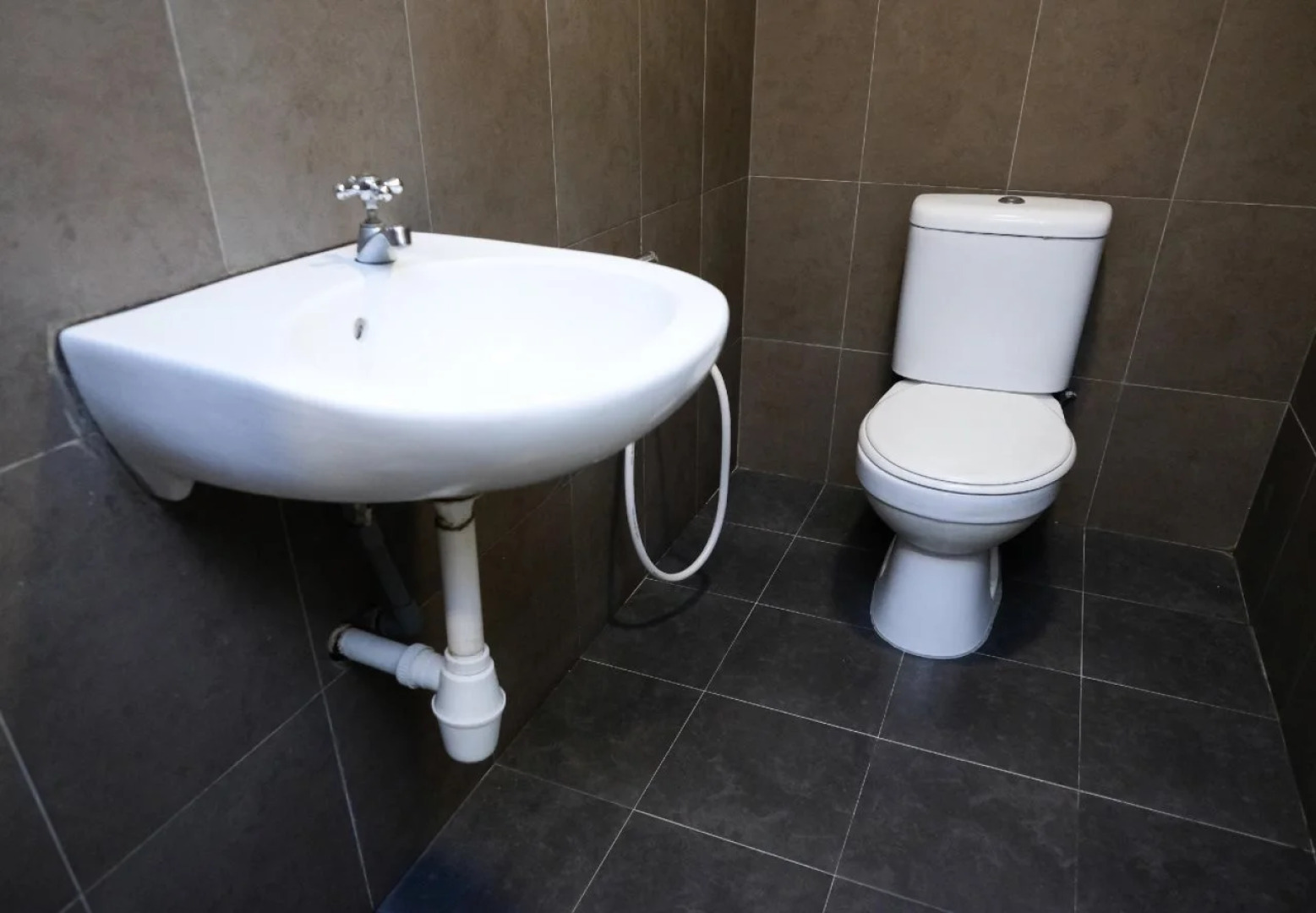 The Fern Lodge (Sanitized Stay)