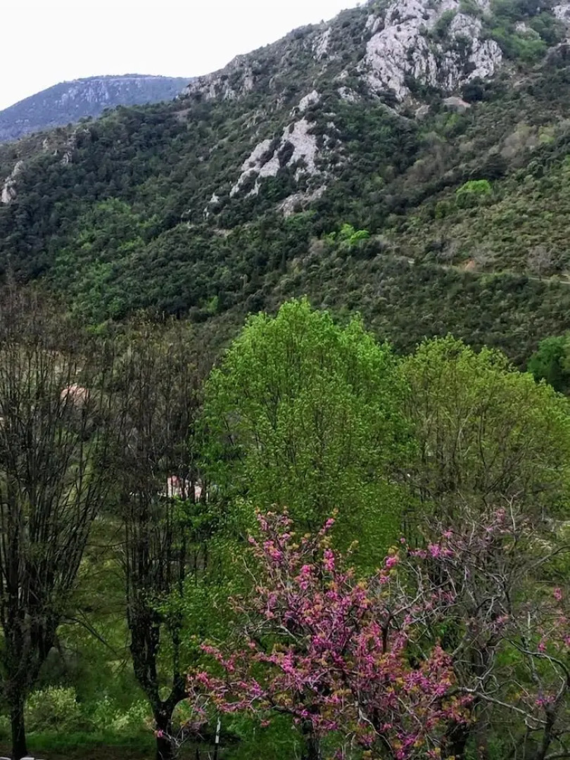 Sainte Agnès Cottages
