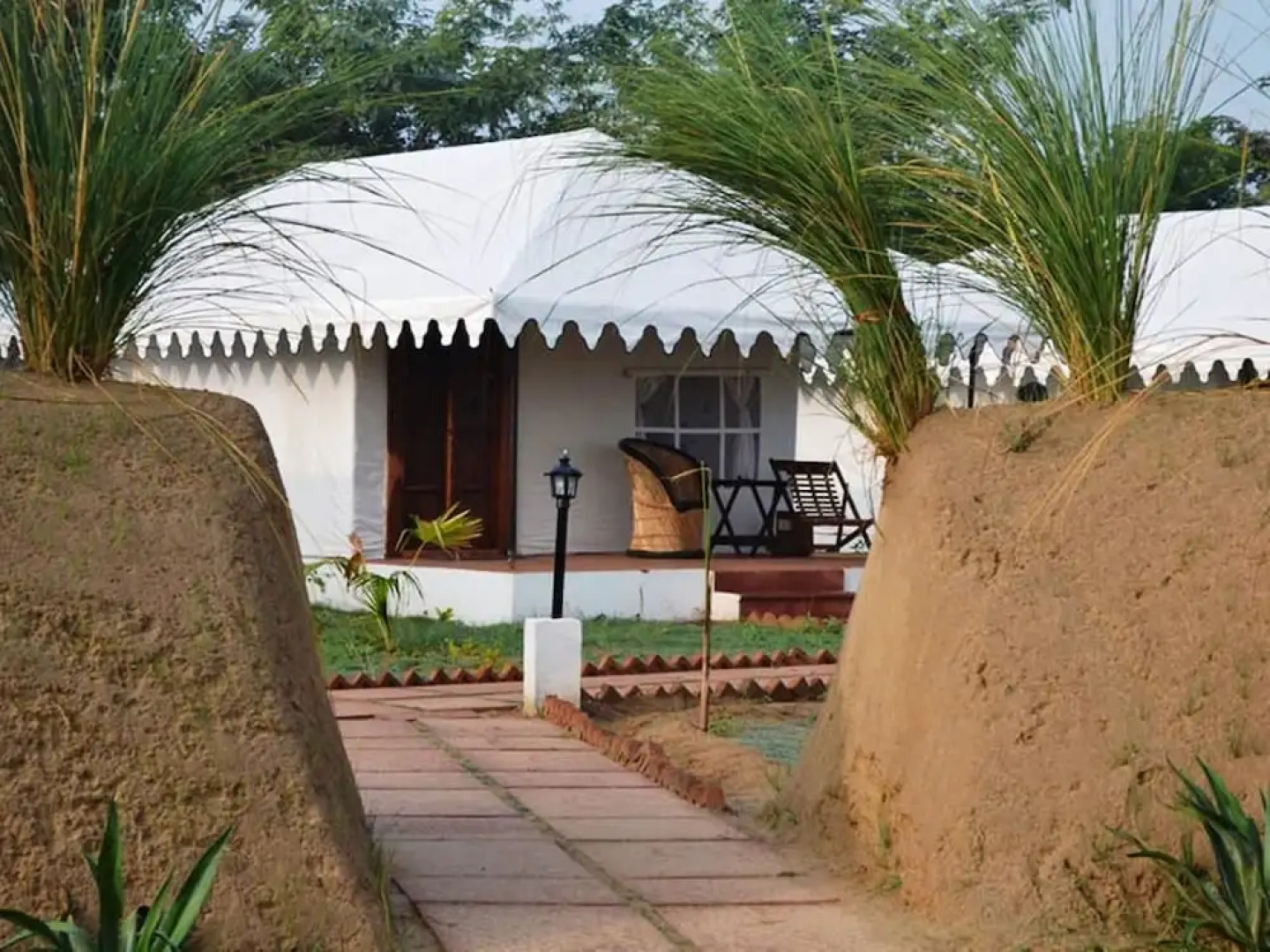 Ranthambore jungle cave