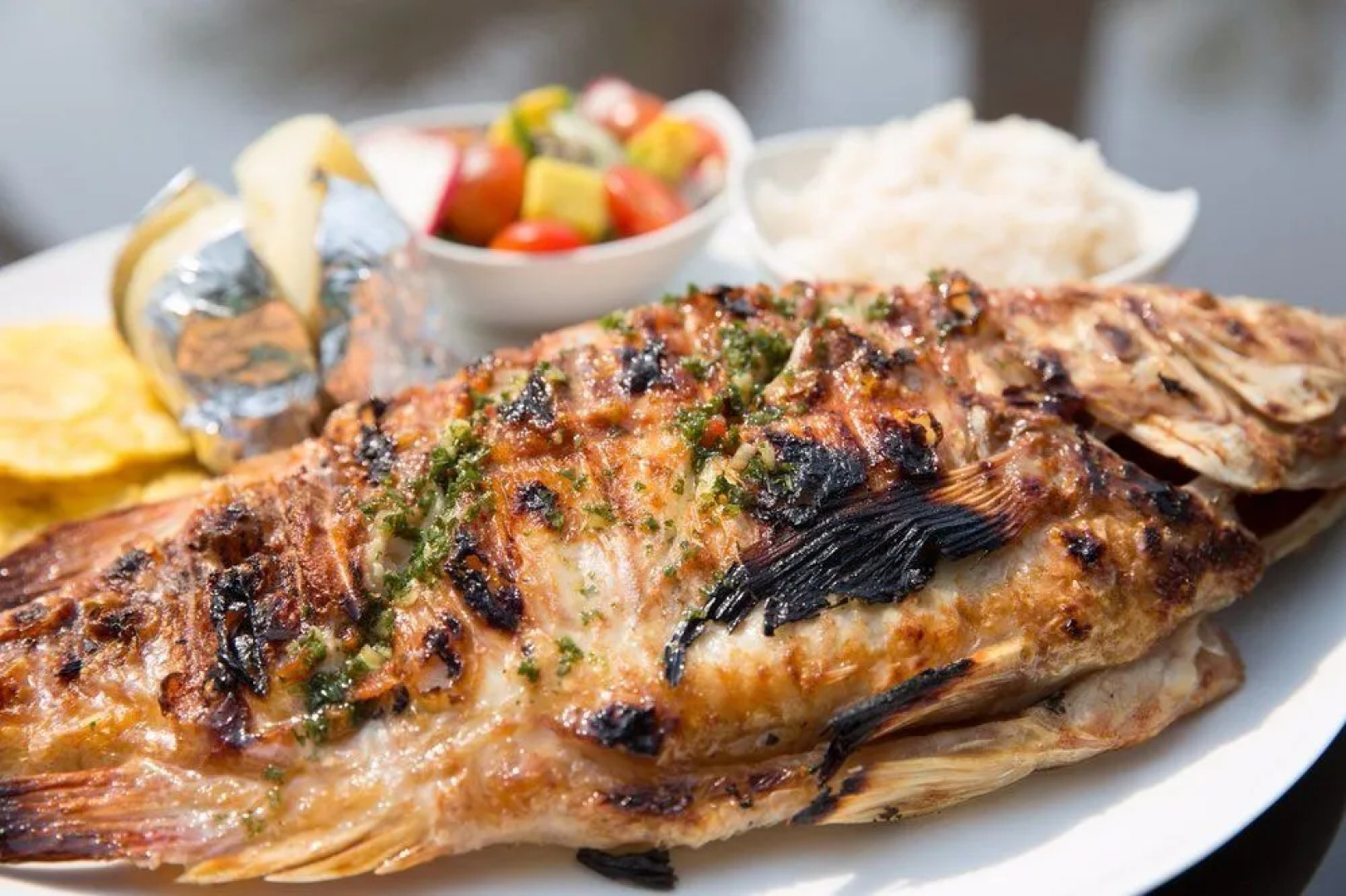 Casa Hotel Vistamarina - Adults Only