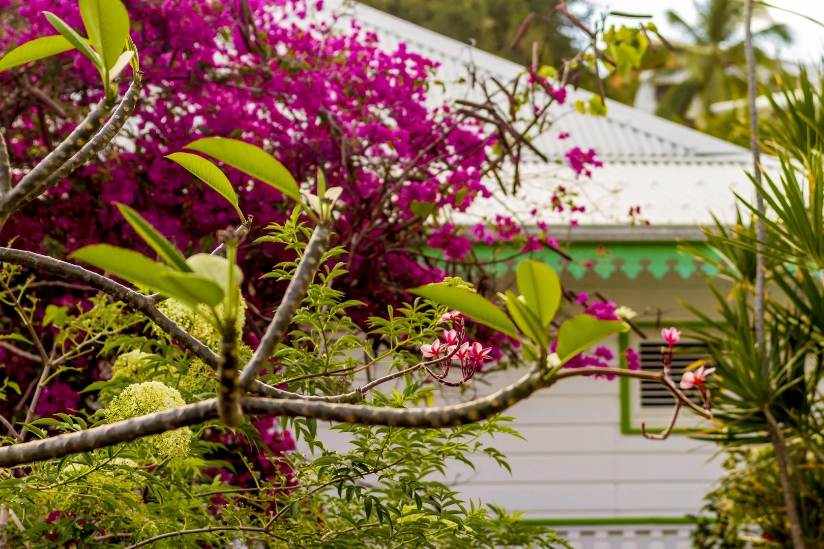 Hôtel Résidence Océane