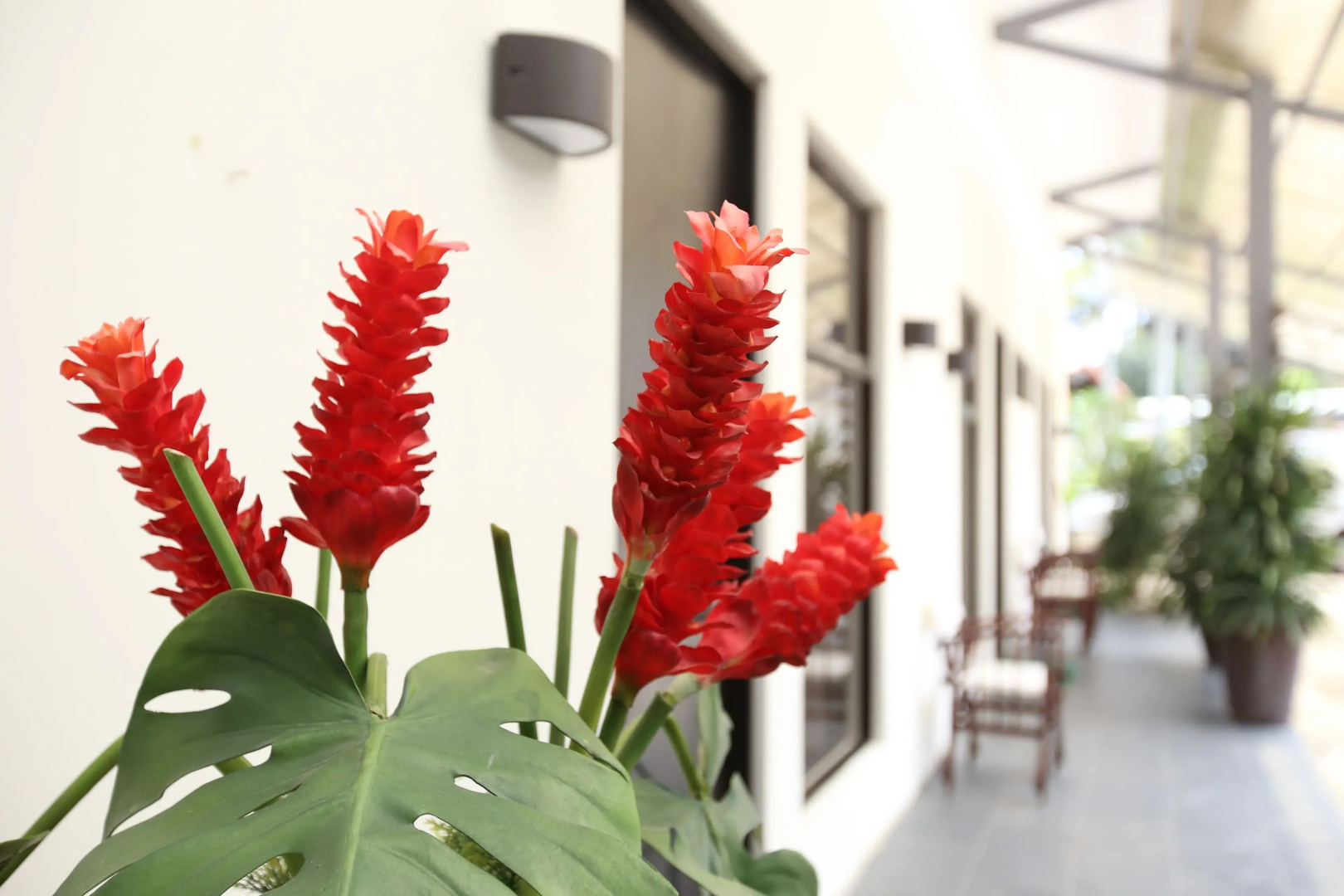 Airport Costa Rica B&B