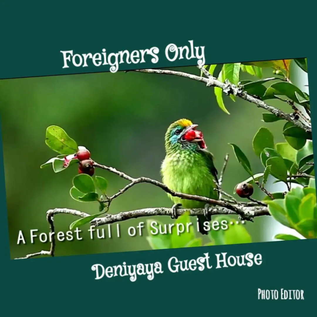 Deniyaya Guest House