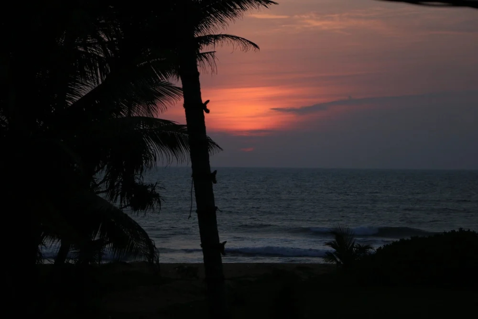 Whispering Ocean