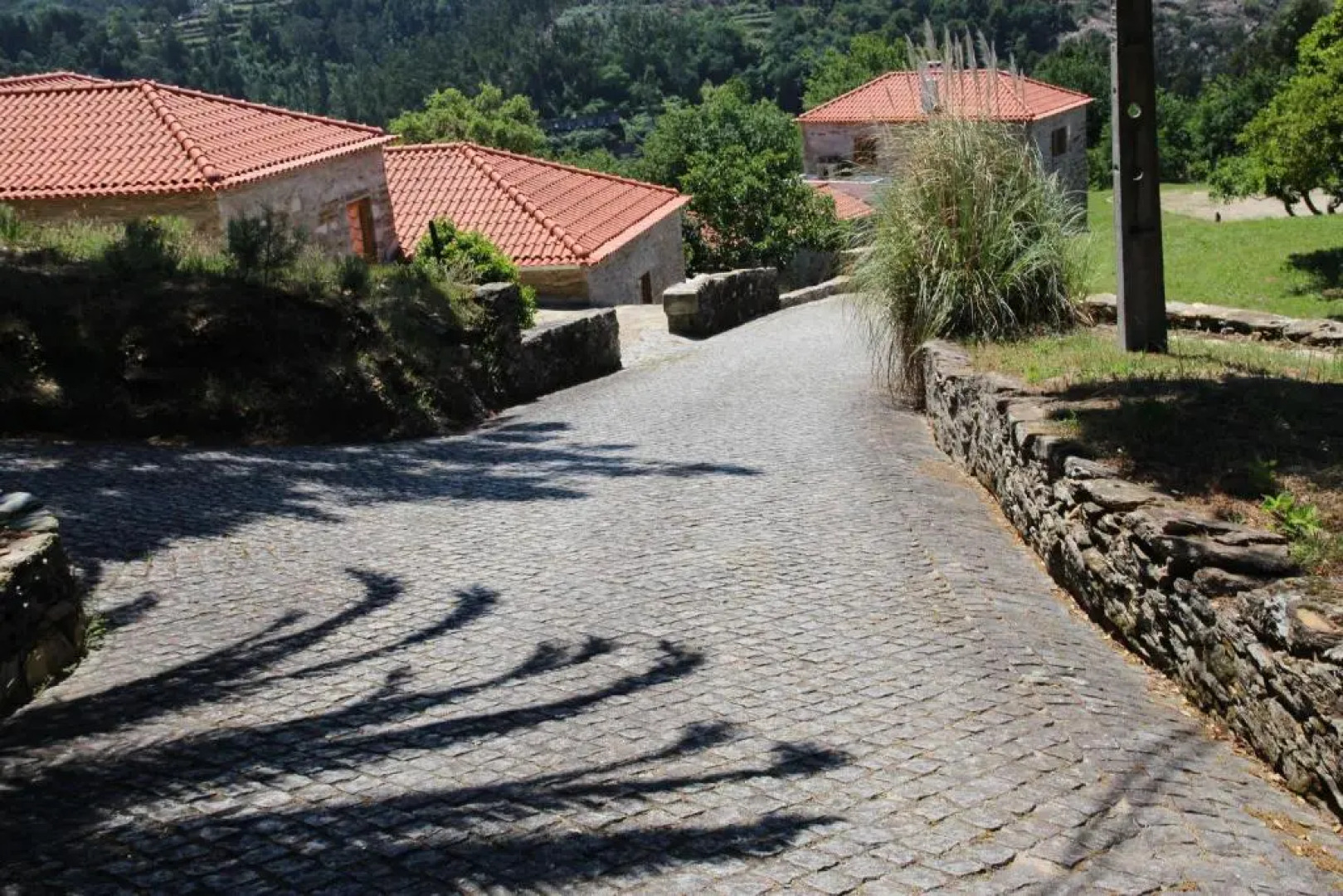 Tapada de São Domingos