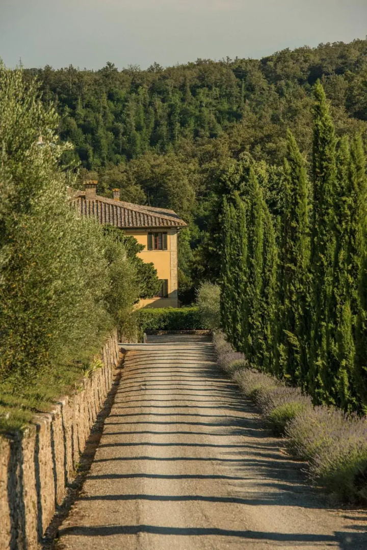 Dievole Wine Resort