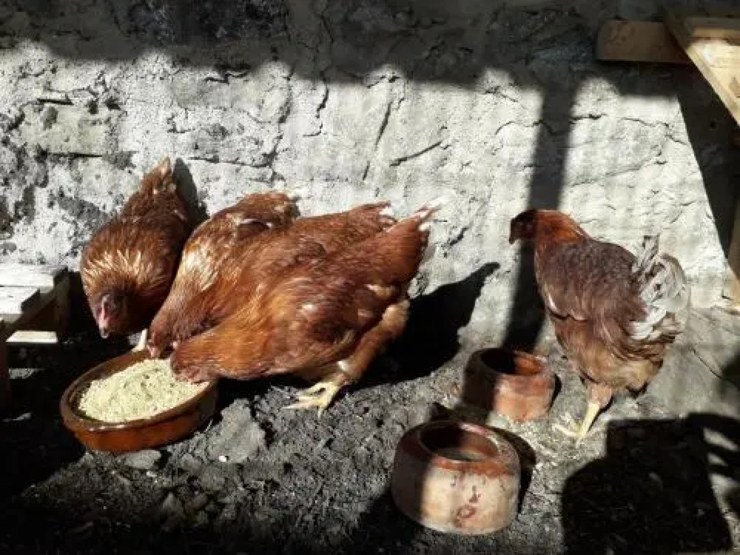 Casa Rural L'Era d'En Bella