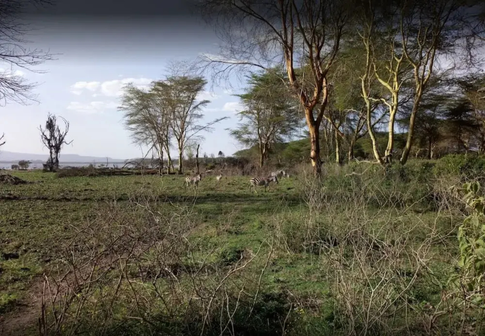 She'gadia Campsite