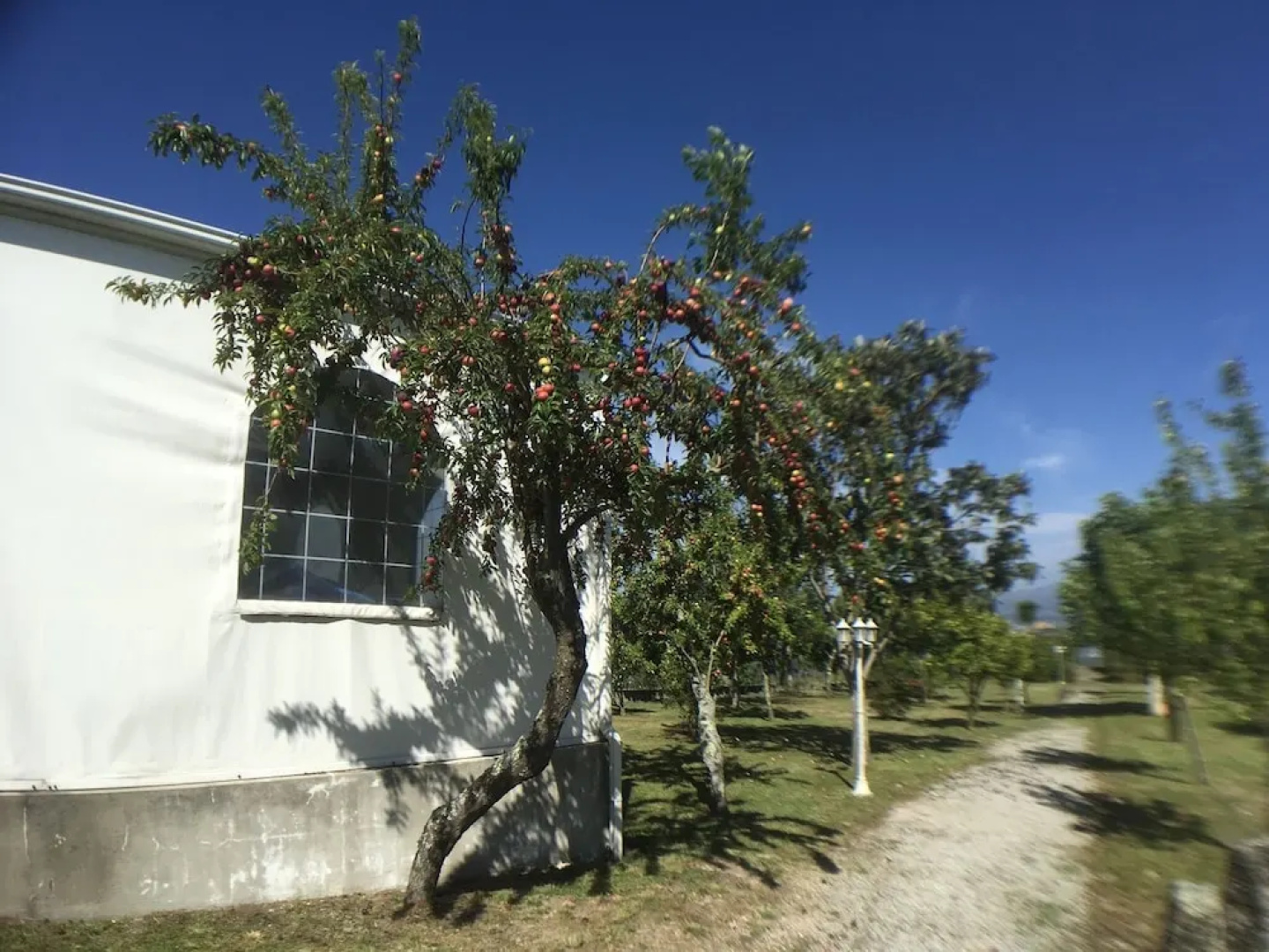 Villa With 4 Bedrooms in Penafiel, With Wonderful Mountain View, Priva