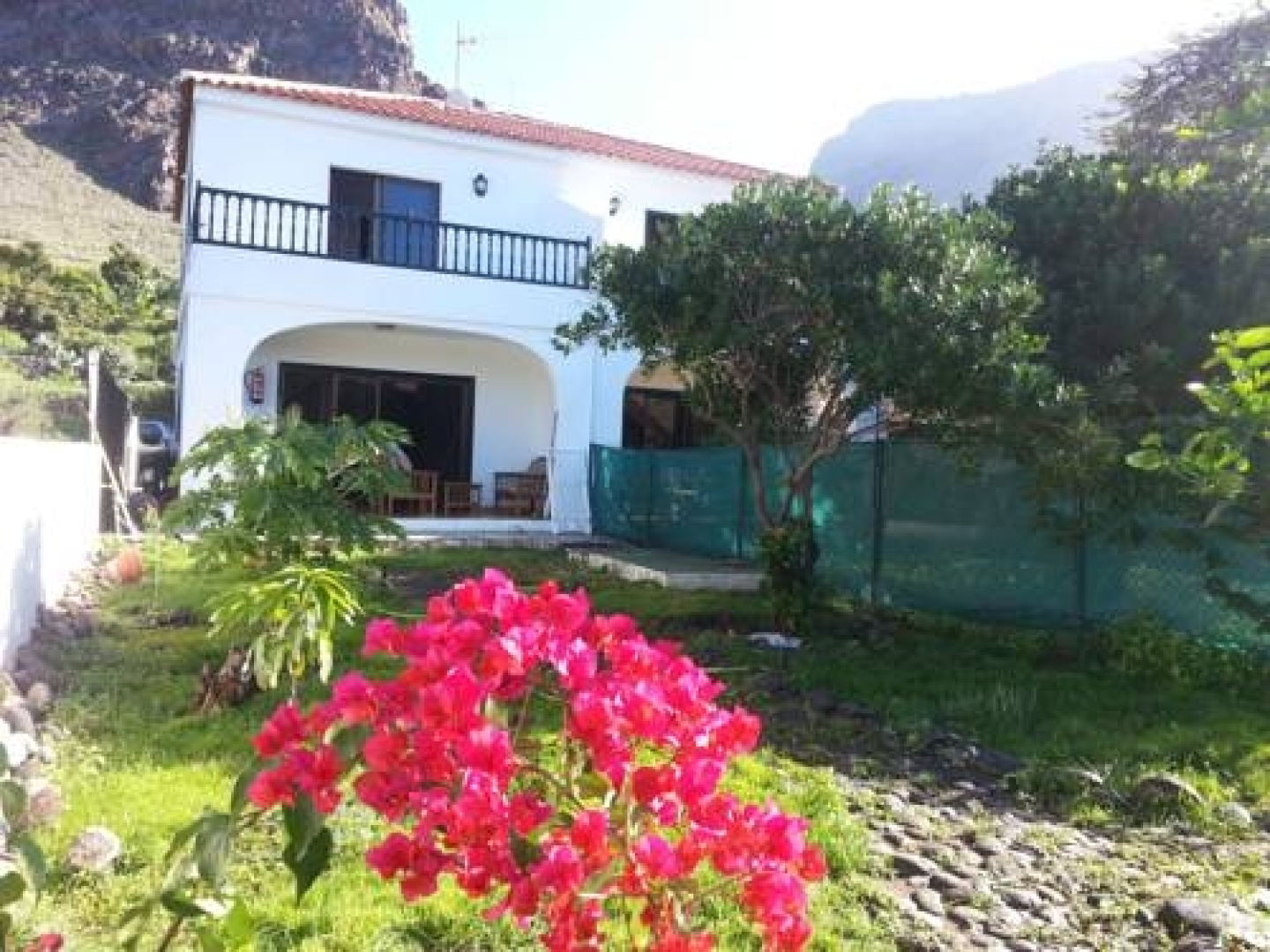 Apartamentos Los Medanos