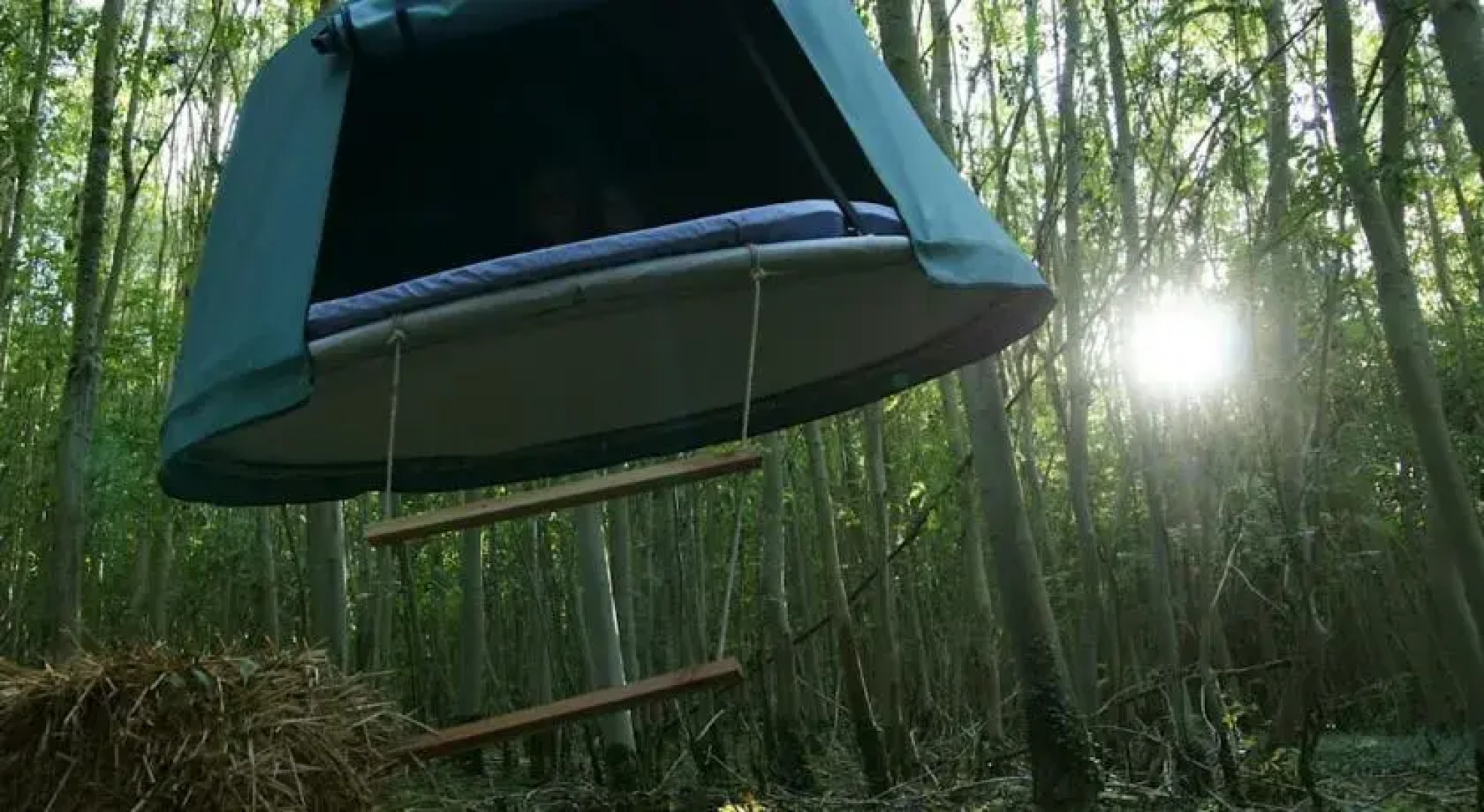 Les Naturelles Insolites