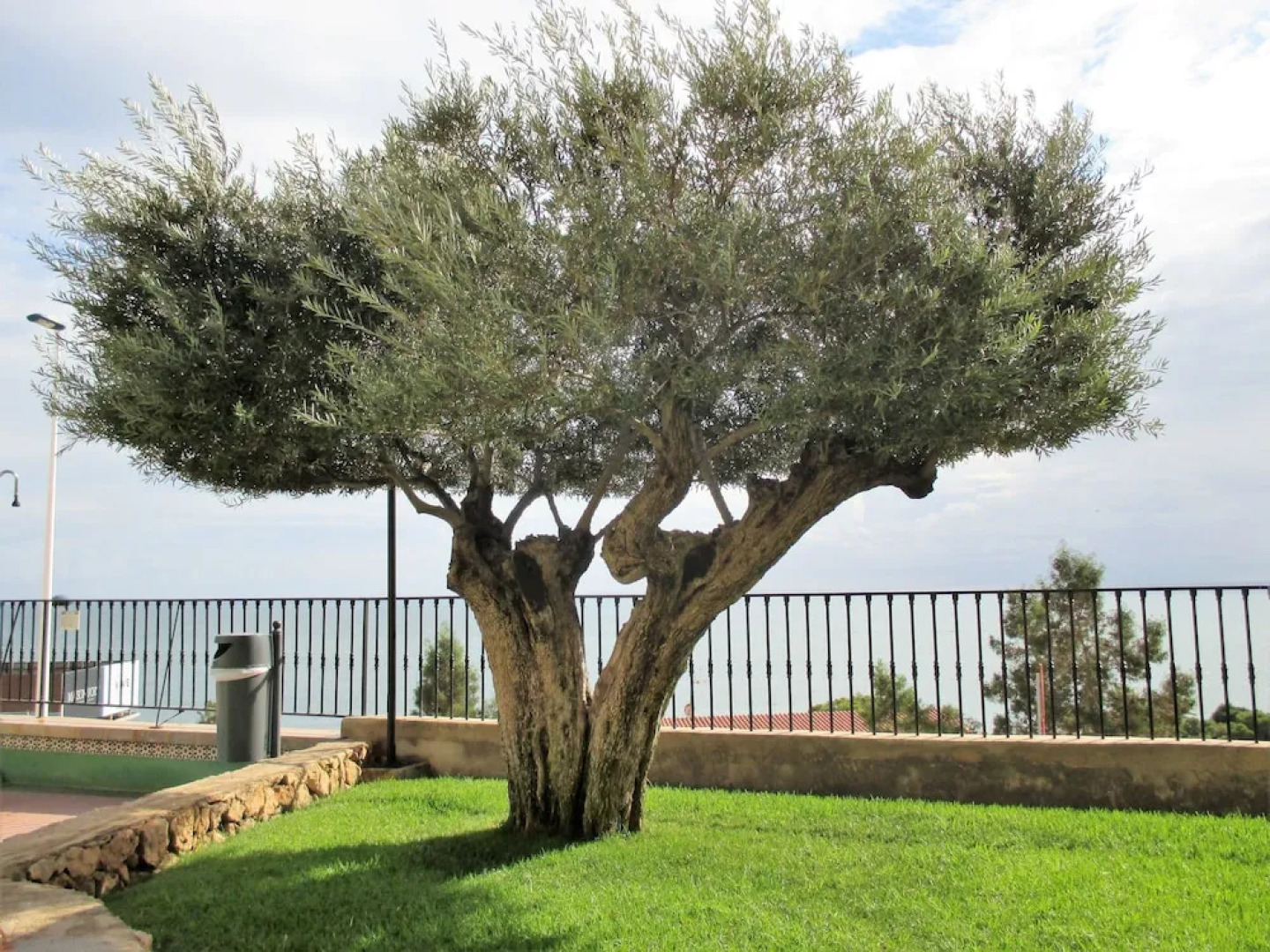 Apartamento a 500 metros de la playa