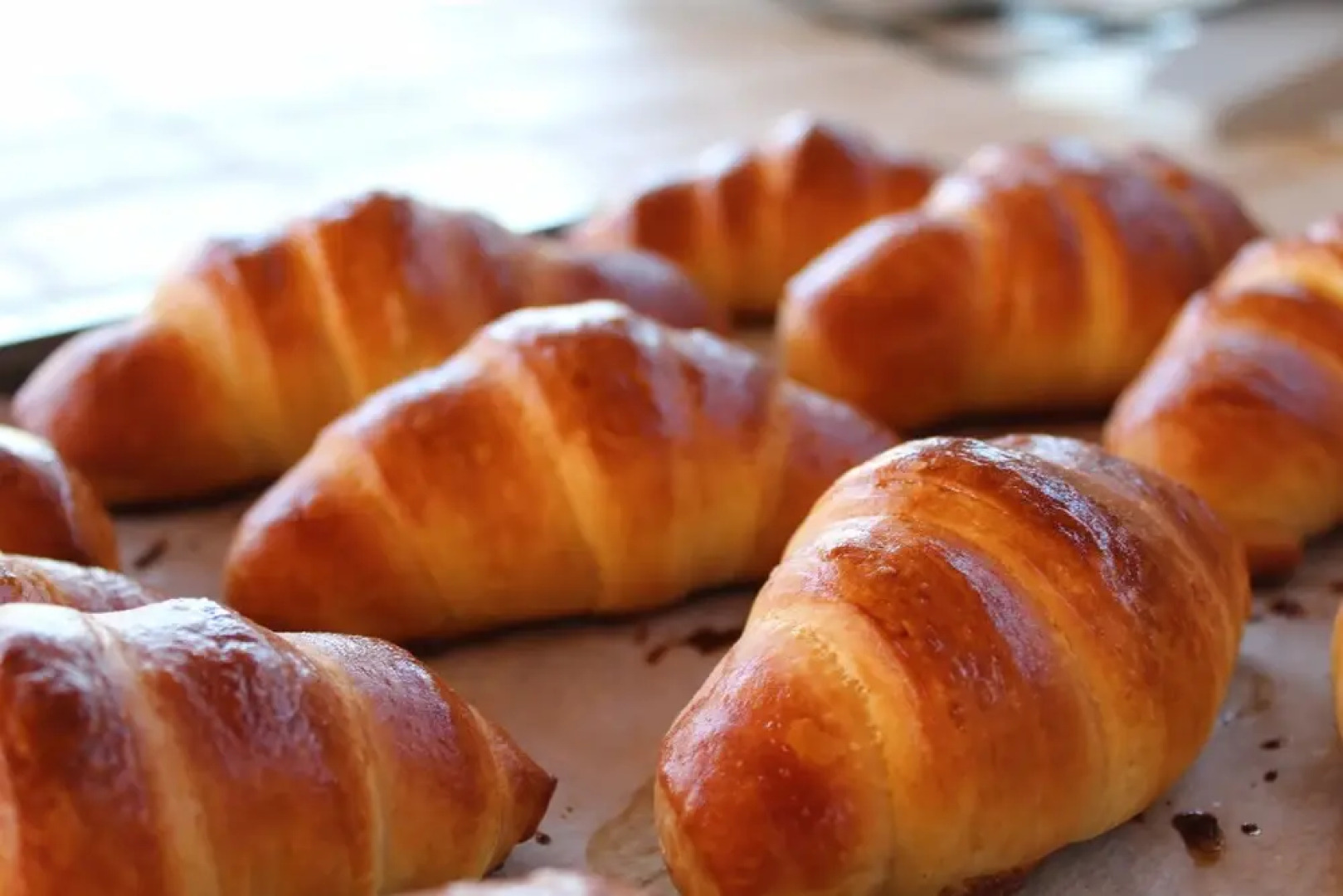 Ecolodge Selvitelle - Sustainable Retreat Amidst Olive Groves in Cilento