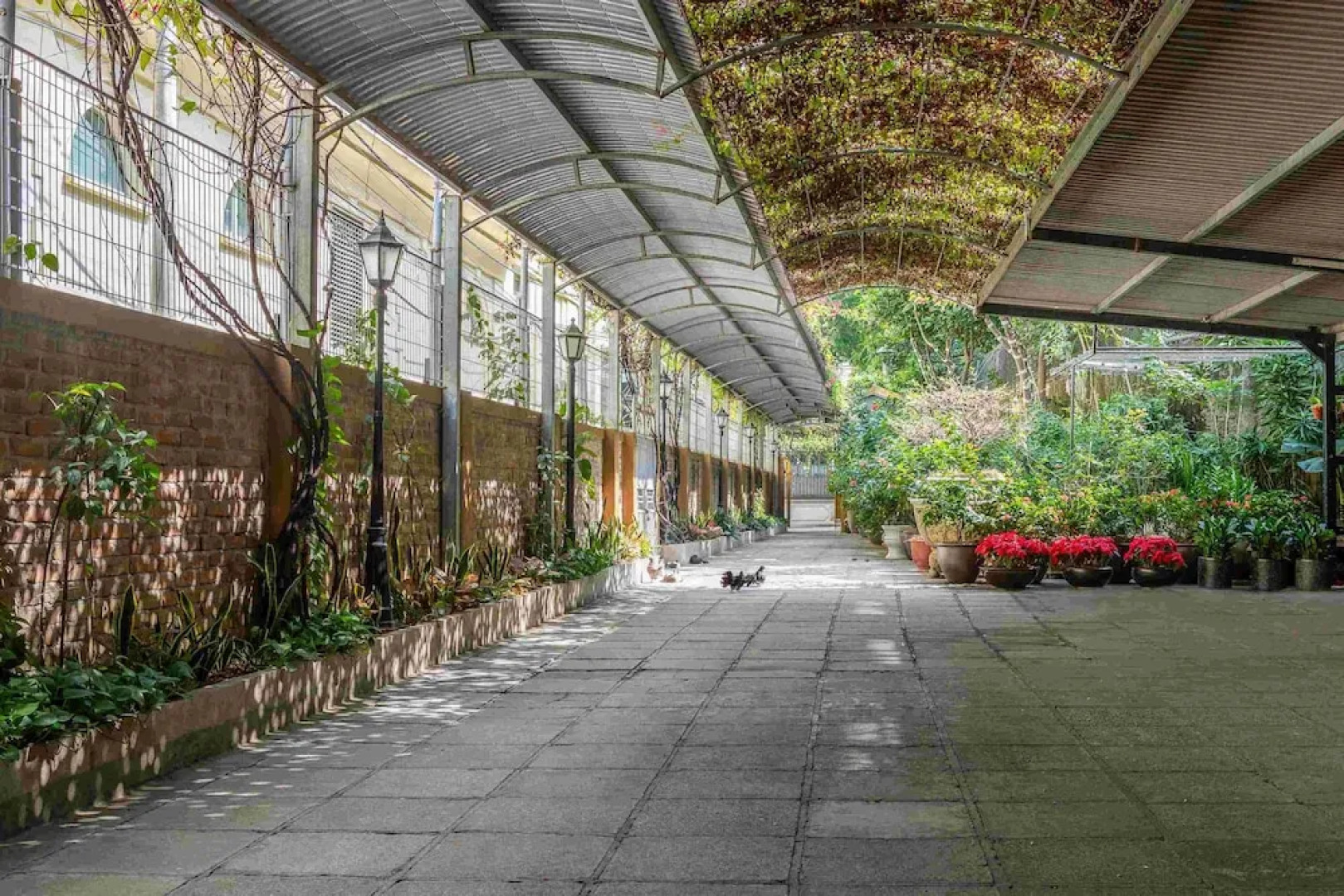 Trang Thanh Luxury Apartment