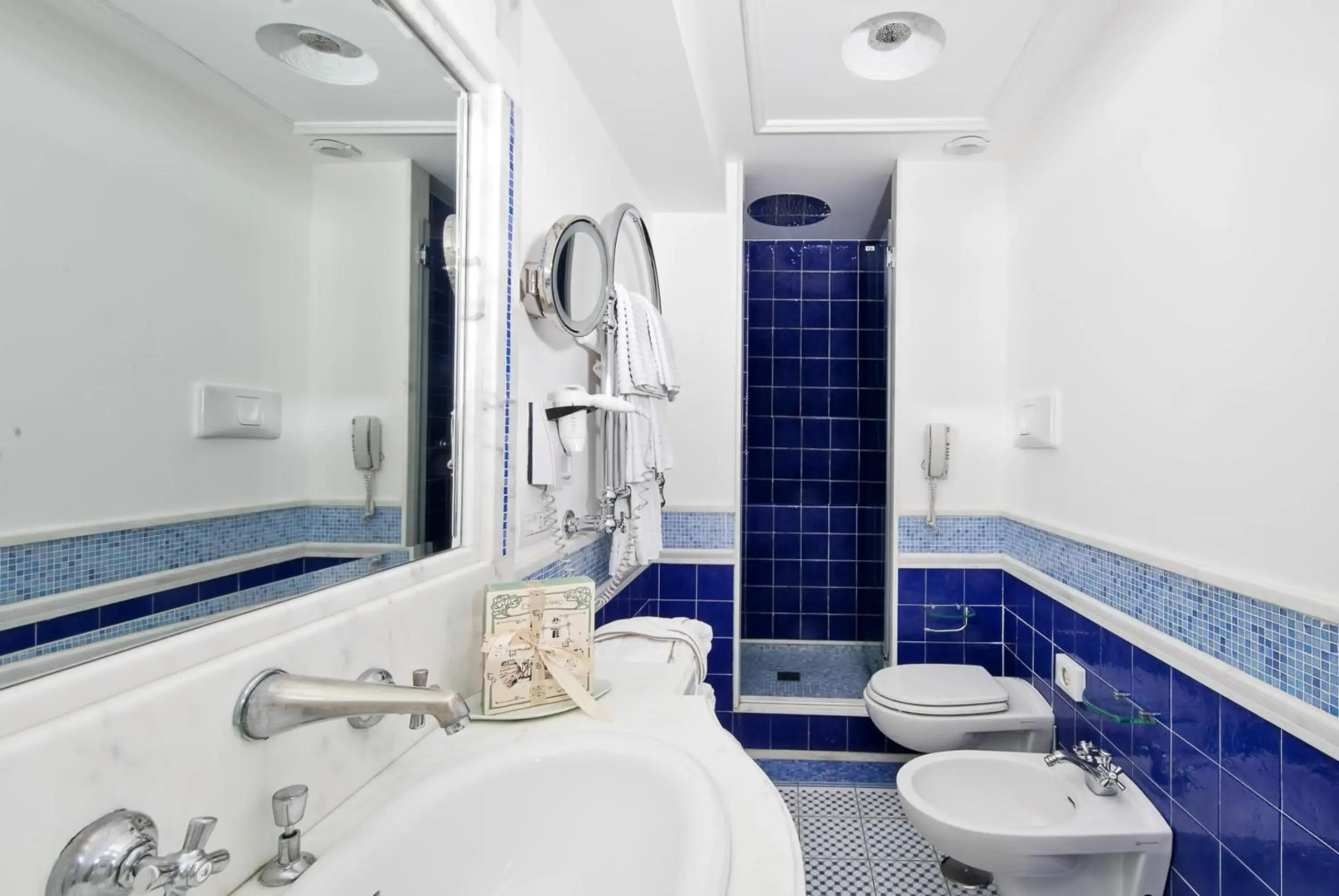 Luxury Villa Excelsior Parco