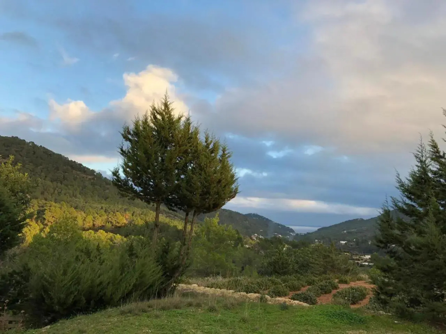 Hacienda Ses Caletes