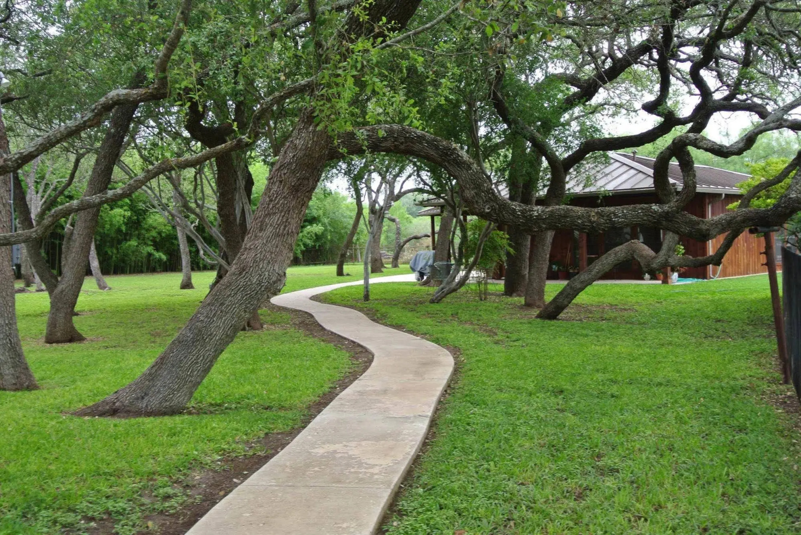 Live Oaks Bed and Breakfast