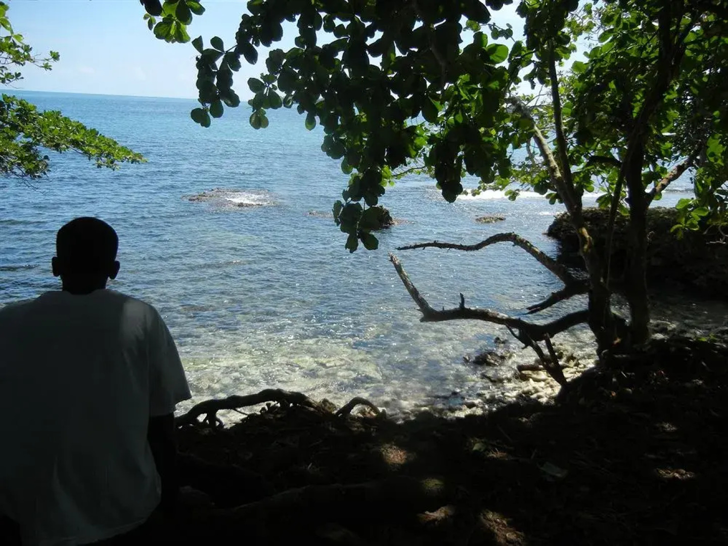 Samasati Yoga & Wellness Retreat