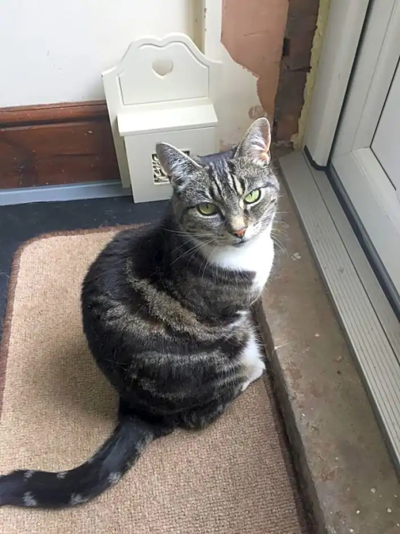 St.Catherine`s Cottage, The Old School House