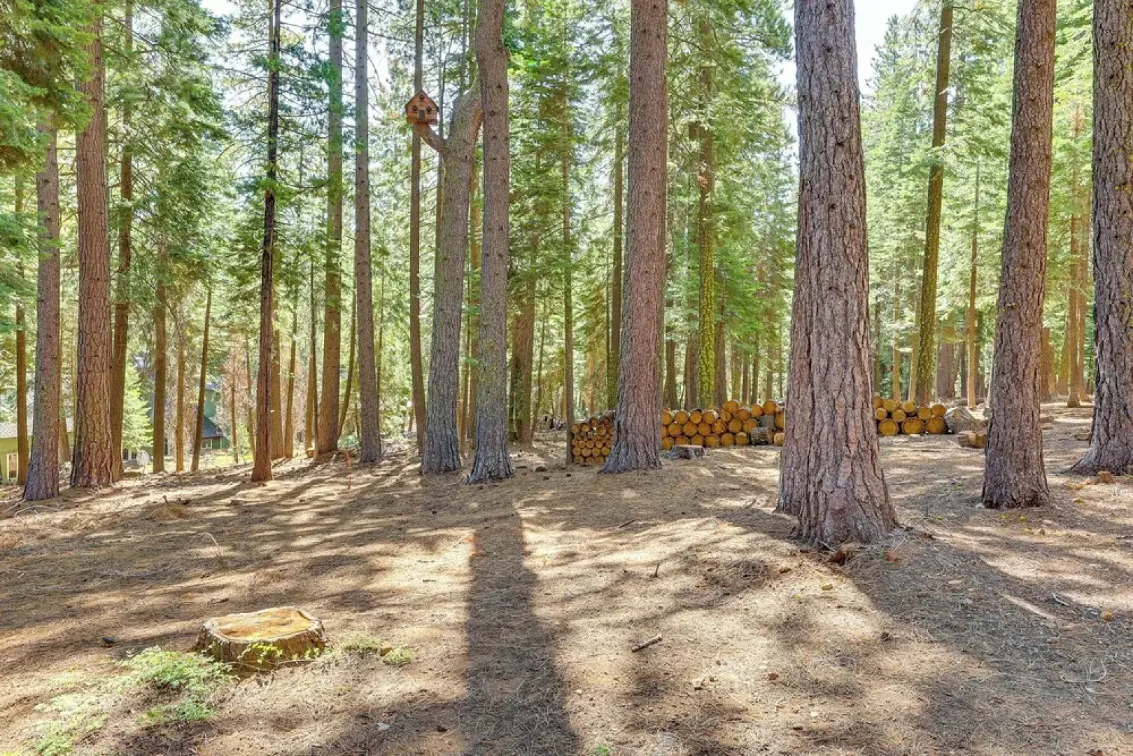 Forest-view Haven w/ Game Room: Tahoe City Gem!