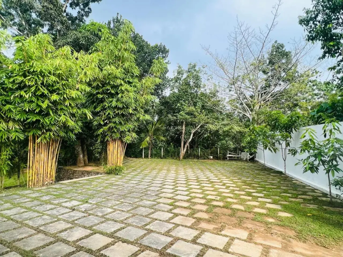 Villa Green Bamboo