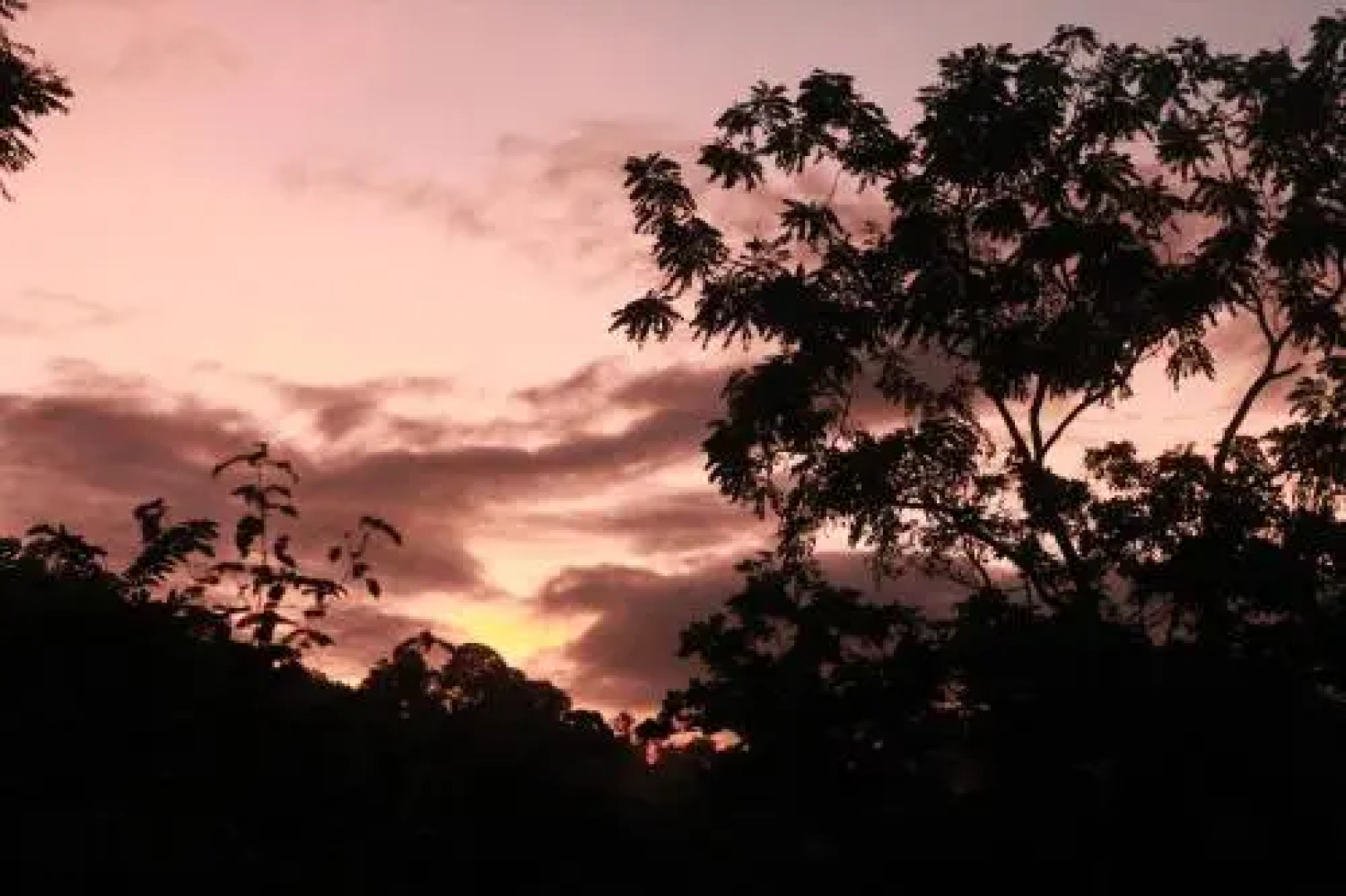 Utopia Tica, Sustainable Lodge