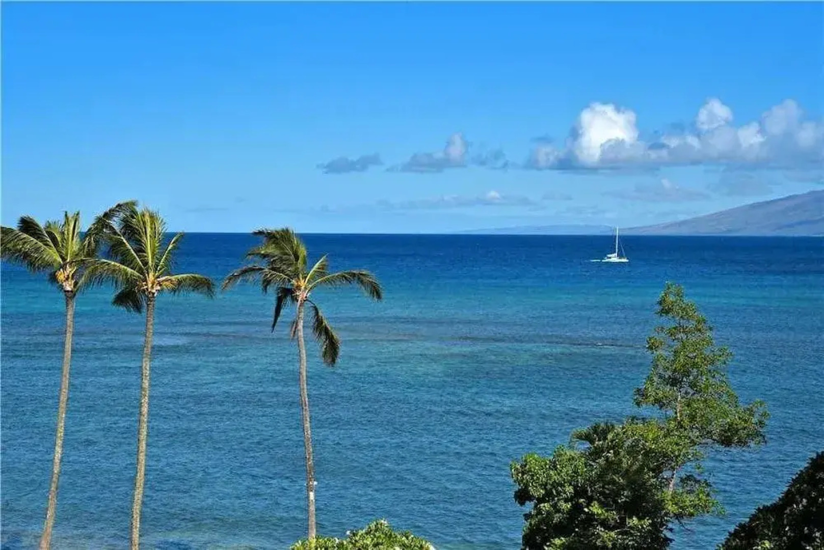 Royal Kahana 1012 by RedAwning