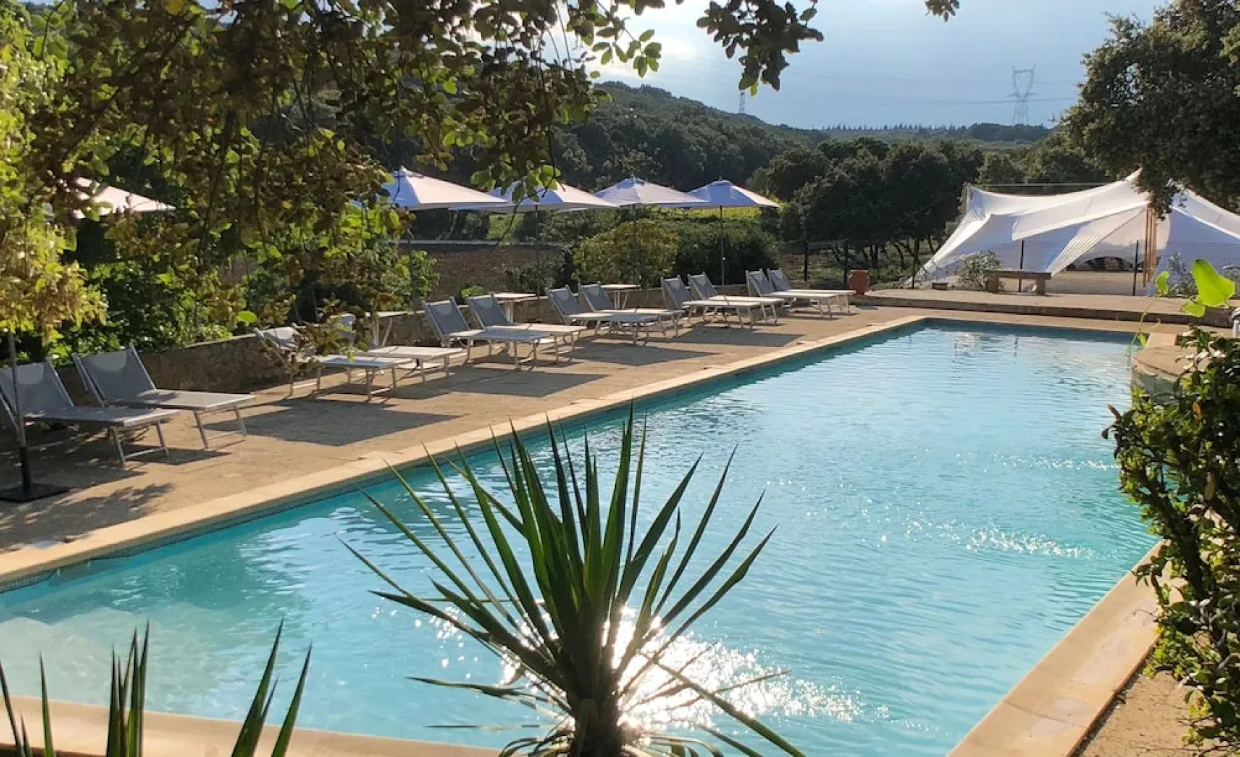 Domaine Le Grand Belly