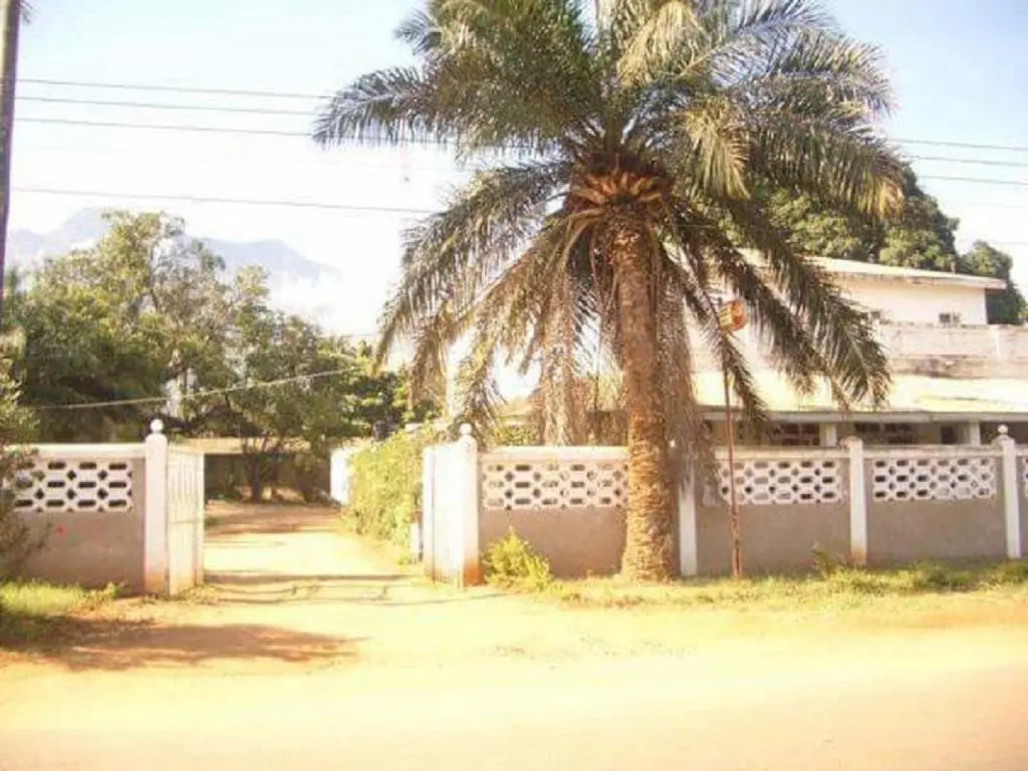 Mama Pierina Restaurant and Annex