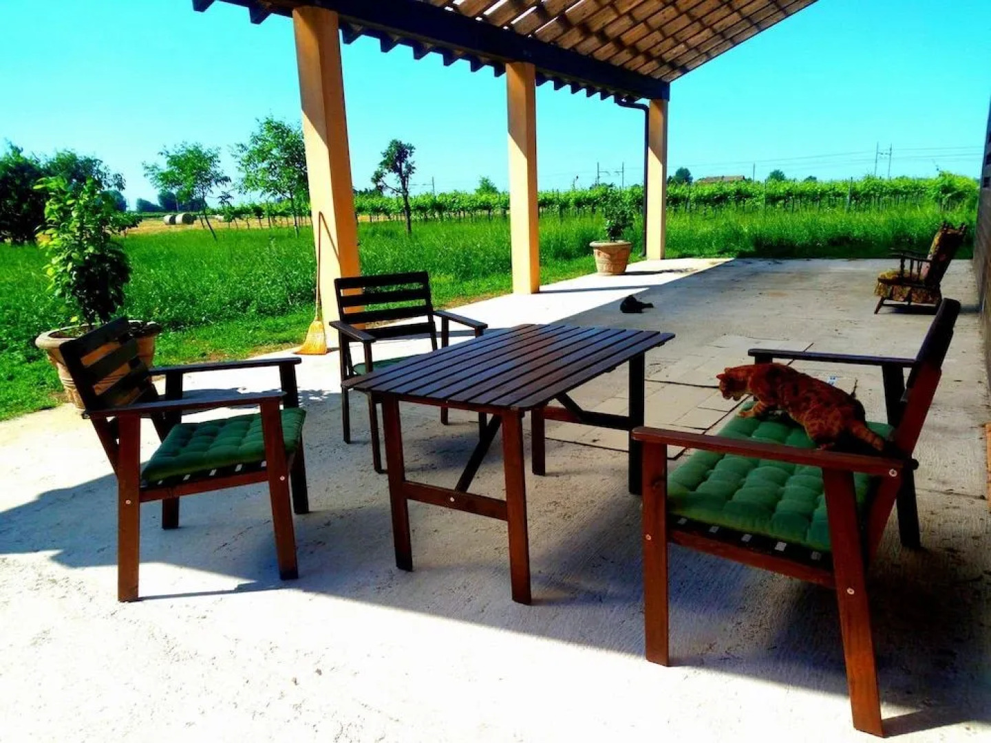 Bed & Breakfast Casale dei Noci