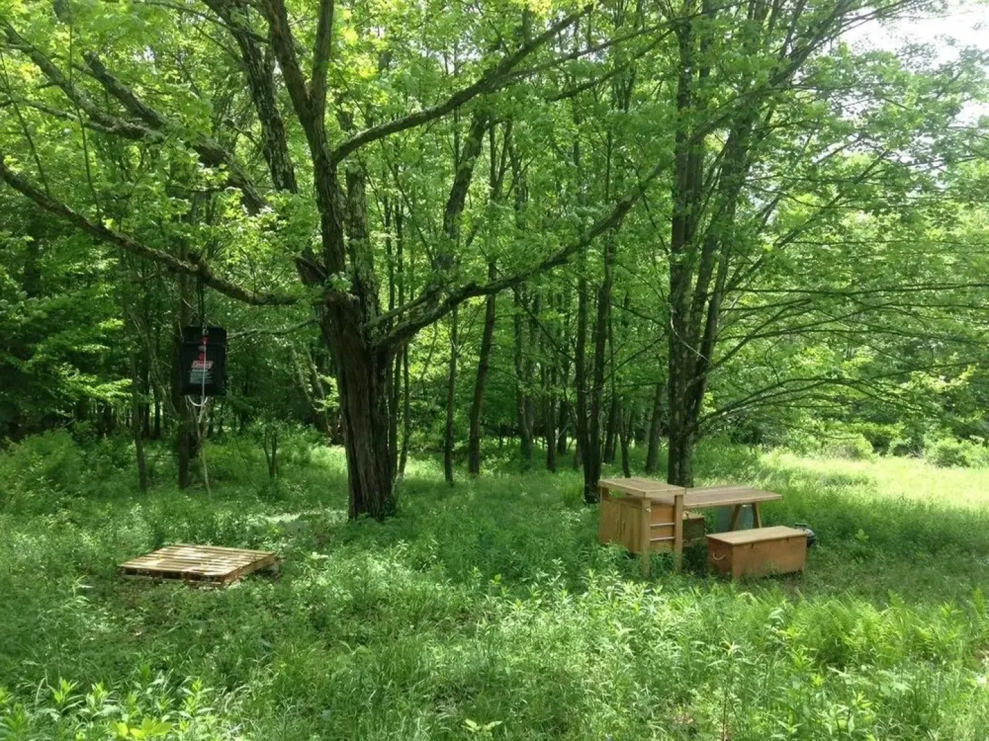 Tentrr - Bambi and Thumper's Hideaway