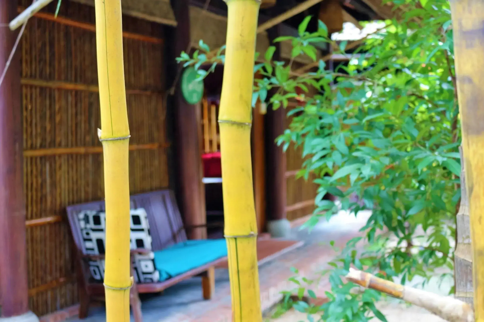 Under the coconut tree - Hostel