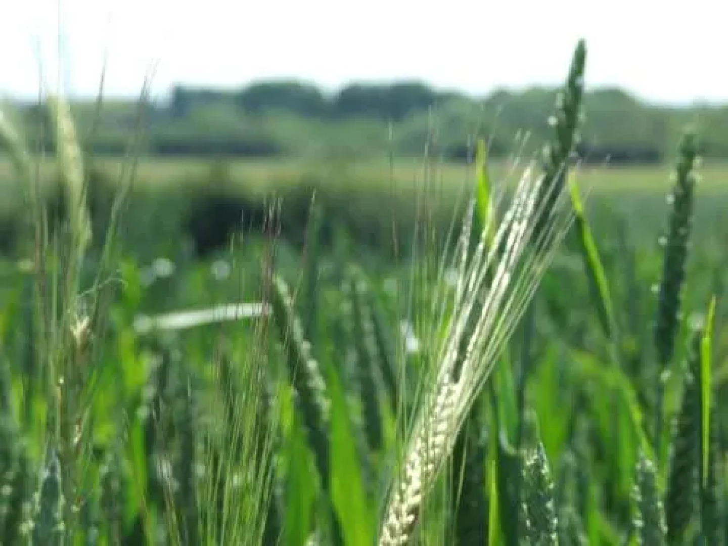 Zouch Farm Bed & Breakfast