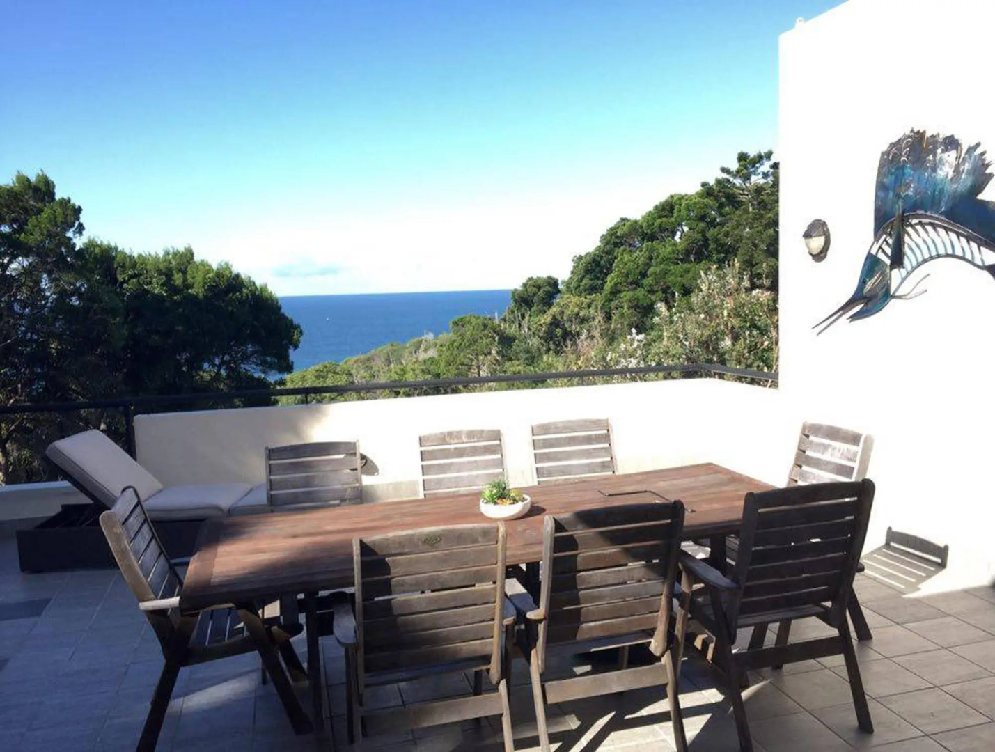 Papillon Coolum