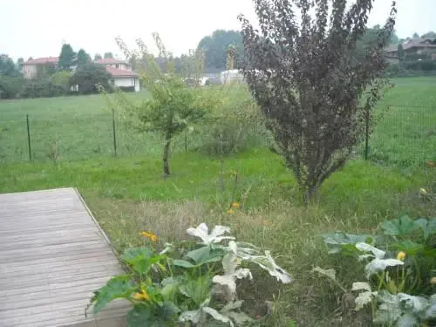 B&B Raggio di Sole