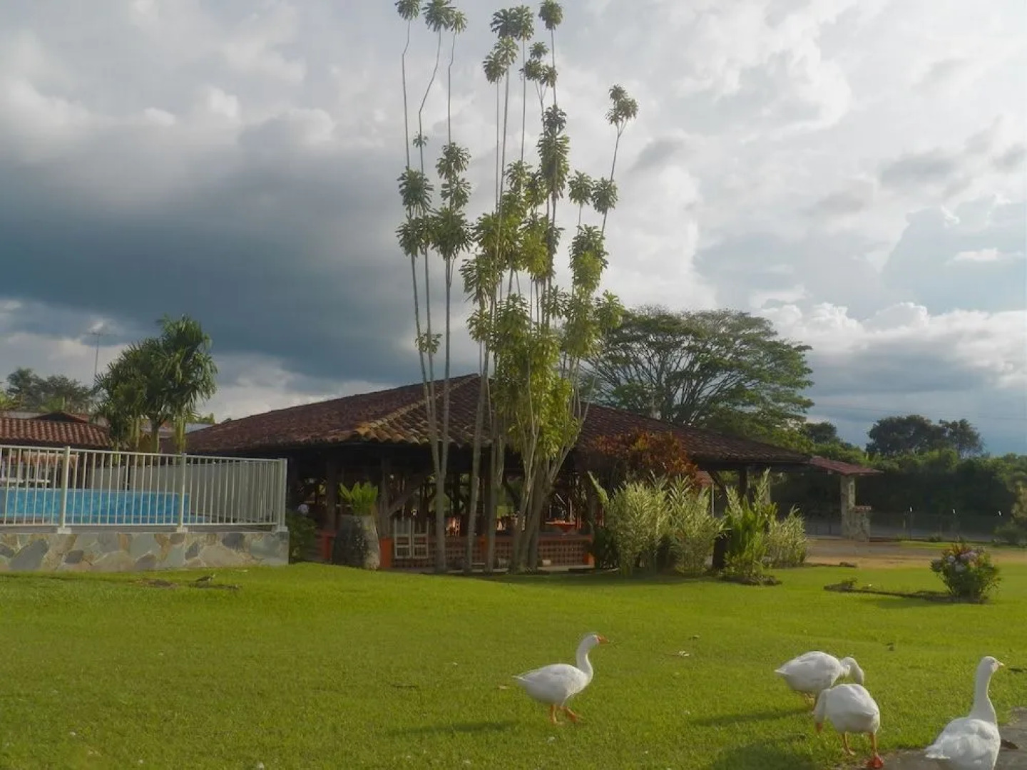 Cabañas Campestres Manantial