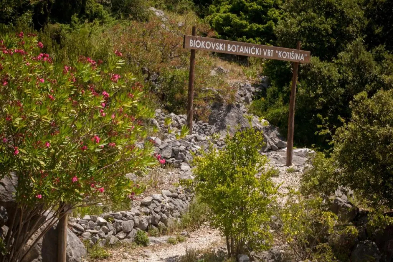 Holiday Home Dalmatinska Kuća