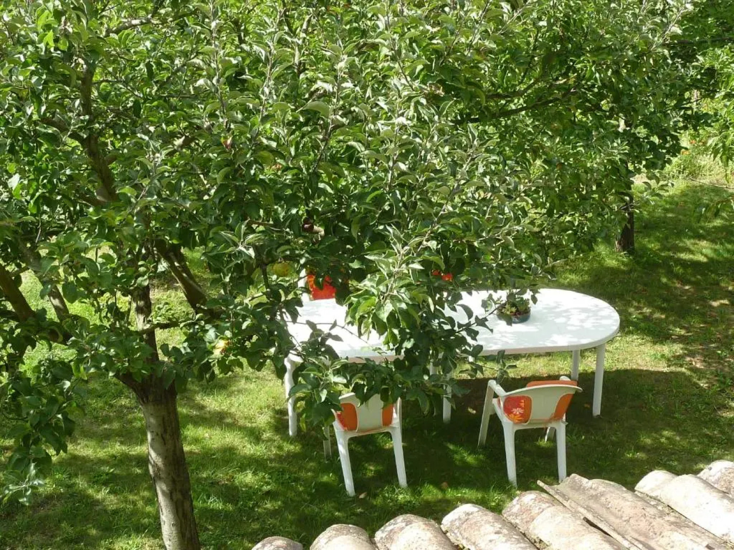 Le Clos Des Rosiers