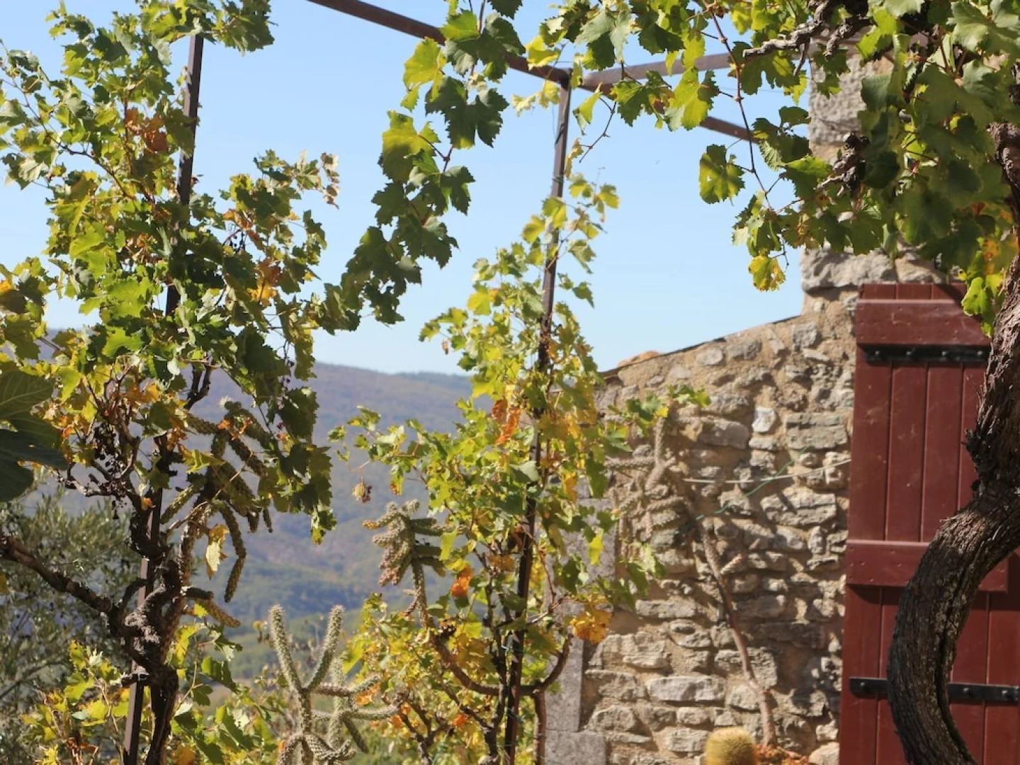 Cozy Cottage in Peaceful Hamlet Saint-martin-de-castillon