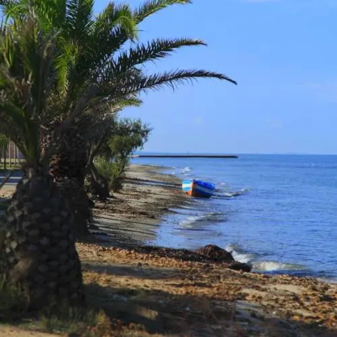 The House of Your Dreams