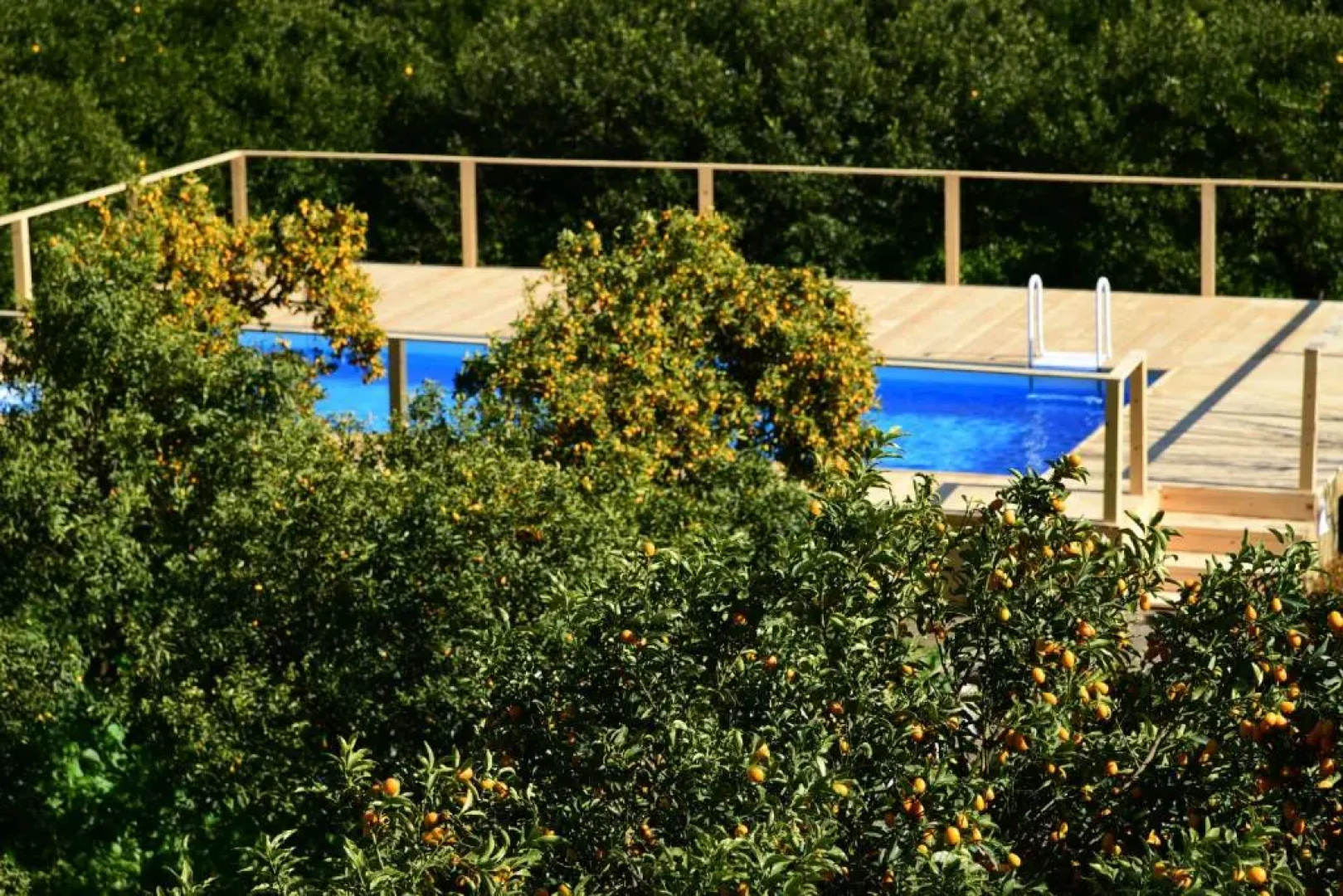 Giardino Arancio