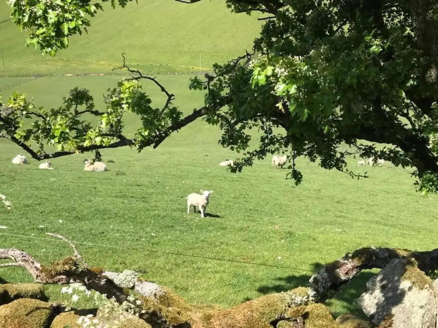 Stunning Luxury Duplex With Hot Tub and Aircon