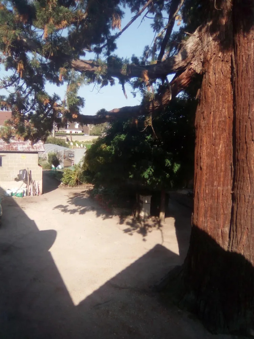 Apartment With one Bedroom in Romorantin-lanthenay, With Wonderful Cit