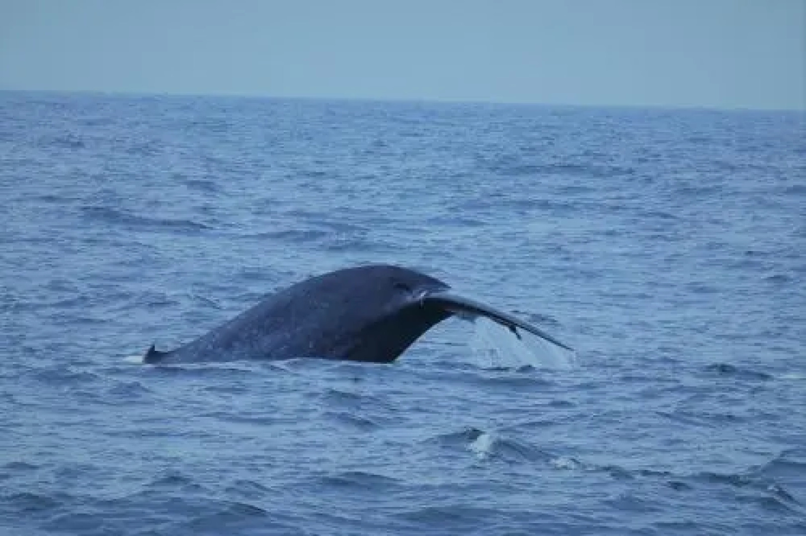 Duwawaththa Beach House